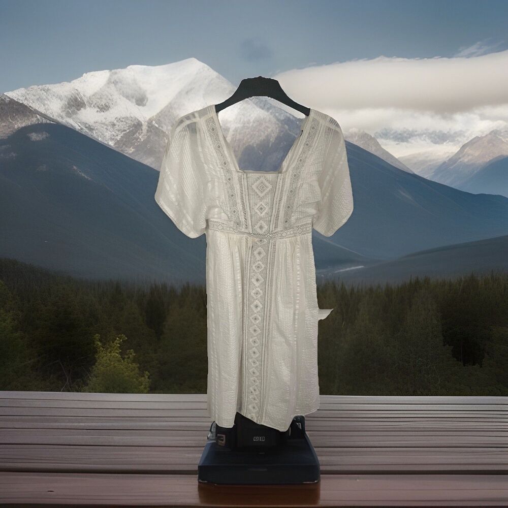 Anthropologie Alene Embroidered White Midi Lace Dress NWT Size 4